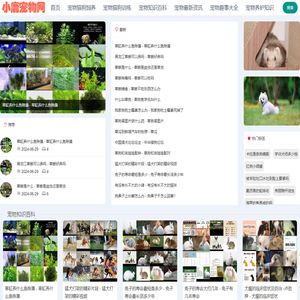 分享网红宠物猫狗饲养训练健康知识