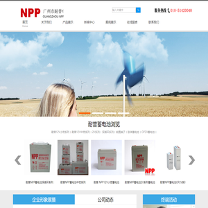 耐普（NPP）蓄电池
