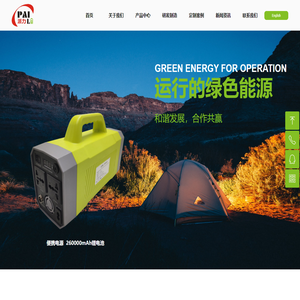 广东派力新能源有限公司