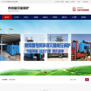 食用菌灭菌锅炉