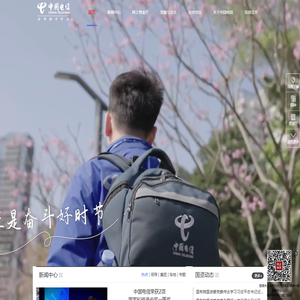 中国电信集团有限公司