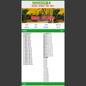银杏树,银杏树价格,江苏银杏树,最新银杏树价格,邳州银杏树基地