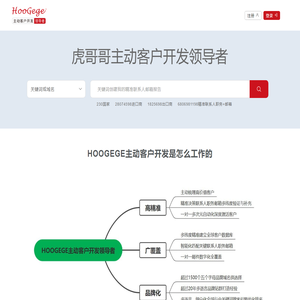 HOOGEGE虎哥哥全球营销数字化平台