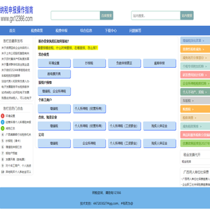 纳税申报操作指南