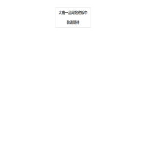 大唐一品