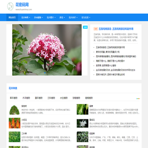 花密码网