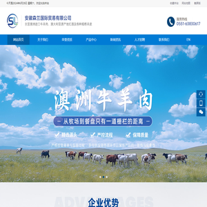 安徽森兰国际贸易有限公司