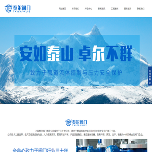 上海泰尔阀门有限公司