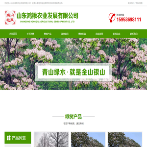 楸树苗,速生楸树