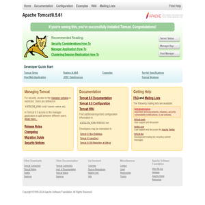 Apache