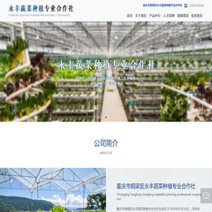 重庆市铜梁区永丰蔬菜种植专业合作社