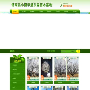 怀来县小南辛堡东森苗木基地