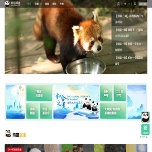 熊猫频道