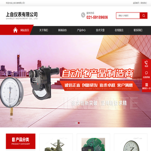 上海仪表公司,上海自仪公司