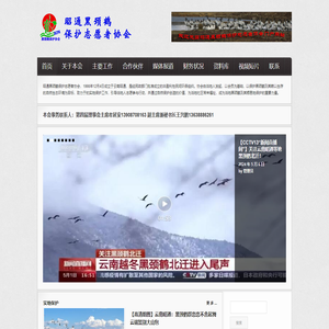 昭通黑颈鹤保护志愿者协会
