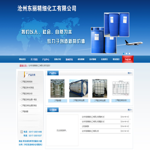 沧州东丽精细化工有限公司