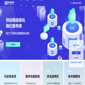 海智链供应链信息化解决方案专家