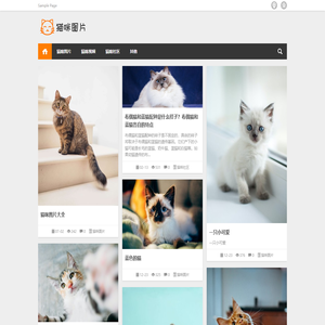 猫咪图片猫咪