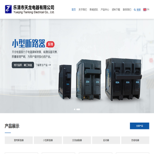 乐清市天龙电器有限公司