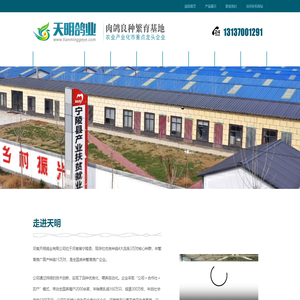 河南天明鸽业有限公司,河南乳鸽销售,商丘种鸽