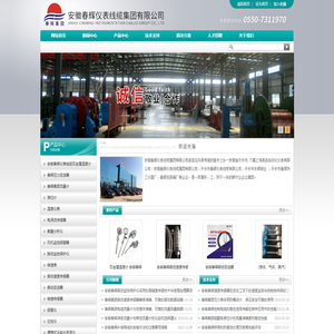 安徽春辉速度传感器