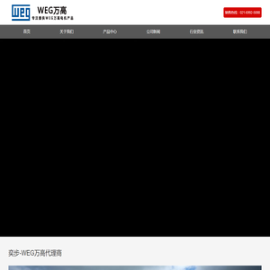 WEG电机