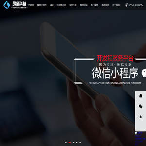 芜湖灵创网络科技