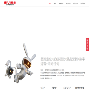 SIVIBRAND视维品牌营销策划设计