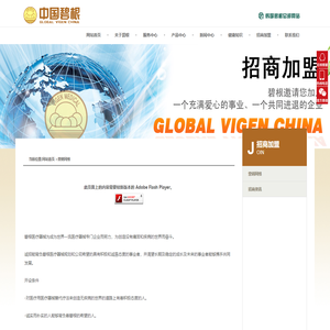 营销网络