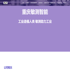 重庆敏测智能