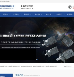 山东液压马达