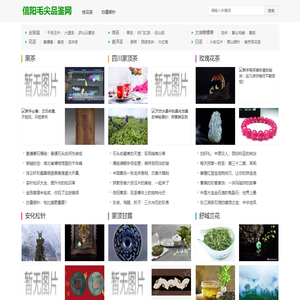 信阳毛尖品鉴网