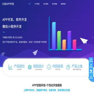 大连软件开发公司