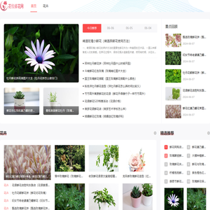 花缘鲜花网