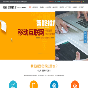 大连蒂投信息技术有限公司