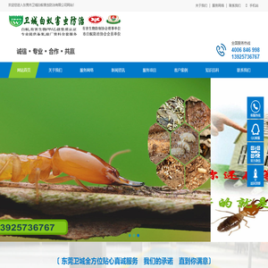 东莞白蚁防治
