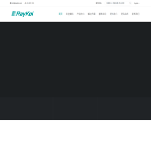 睿科集团RayKol官网