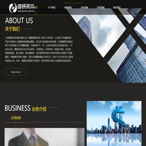 上海盛银投资控股有限公司