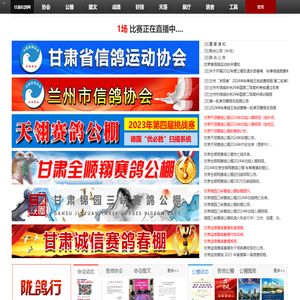 甘肃信鸽网