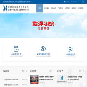 安徽深安投资有限公司（安徽中安融资租赁股份有限公司）