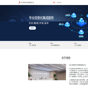 浙江微特电子信息有限公司