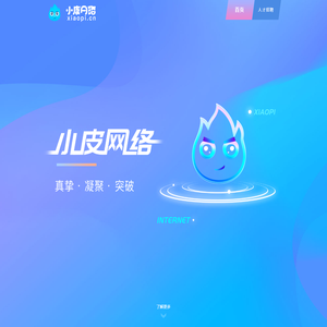 厦门小皮网络有限公司