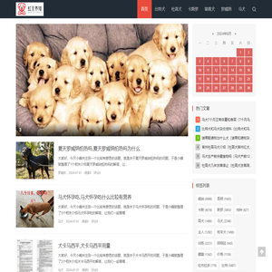 嘉祥县金屯镇虹至养殖场