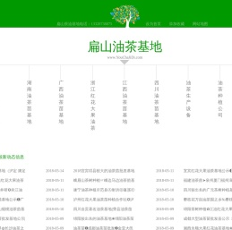 扁山红花大果嫁接油茶苗批发