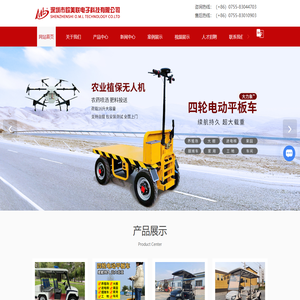 深圳电动观光车