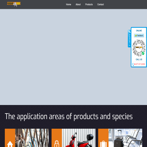 温州宝丰锁业有限公司