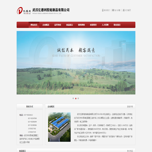 武汉亿德利胶粘制品有限公司