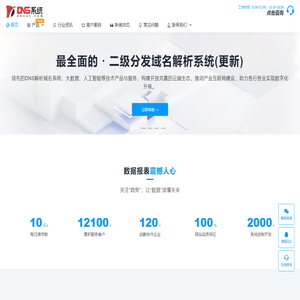 DNS二级域名分发解析系统