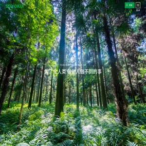 上海创沃实业有限公司