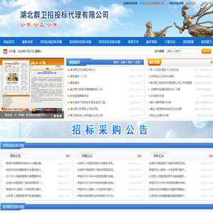 孝感市医用耗材招标网